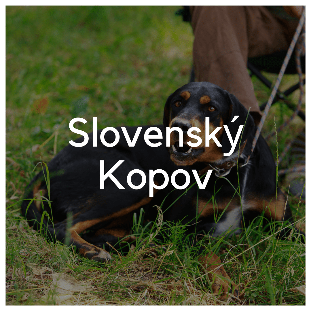 Slovenský kopov - Liwa Design