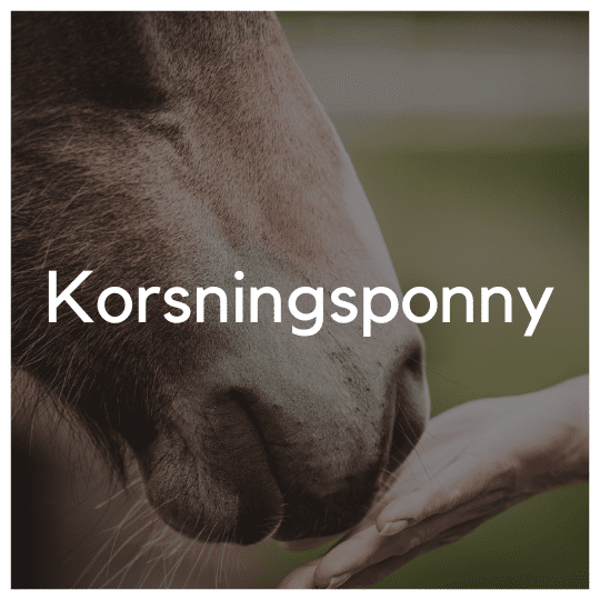 Korsningsponny - Liwa Design