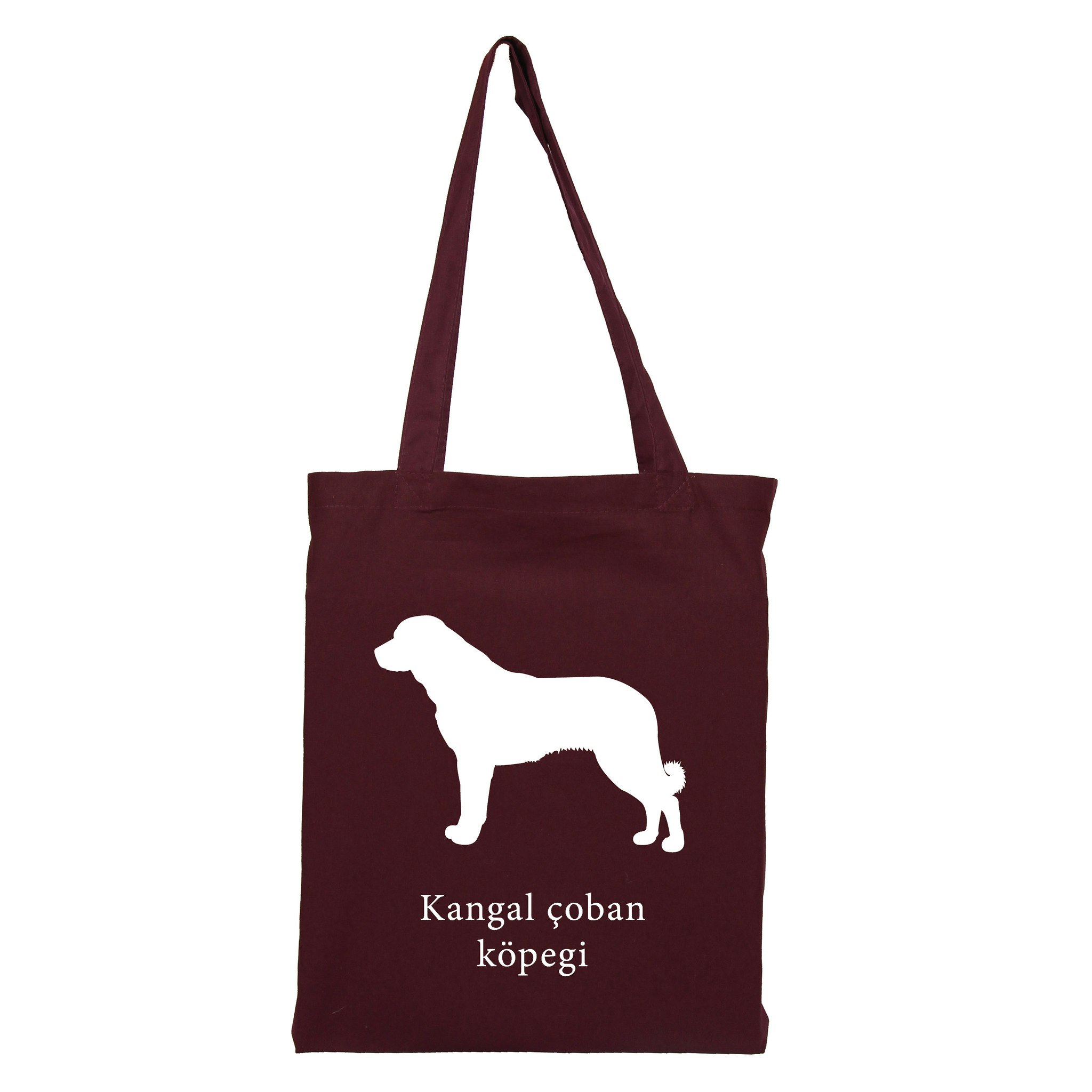 Tygkasse Kangal çoban köpegi