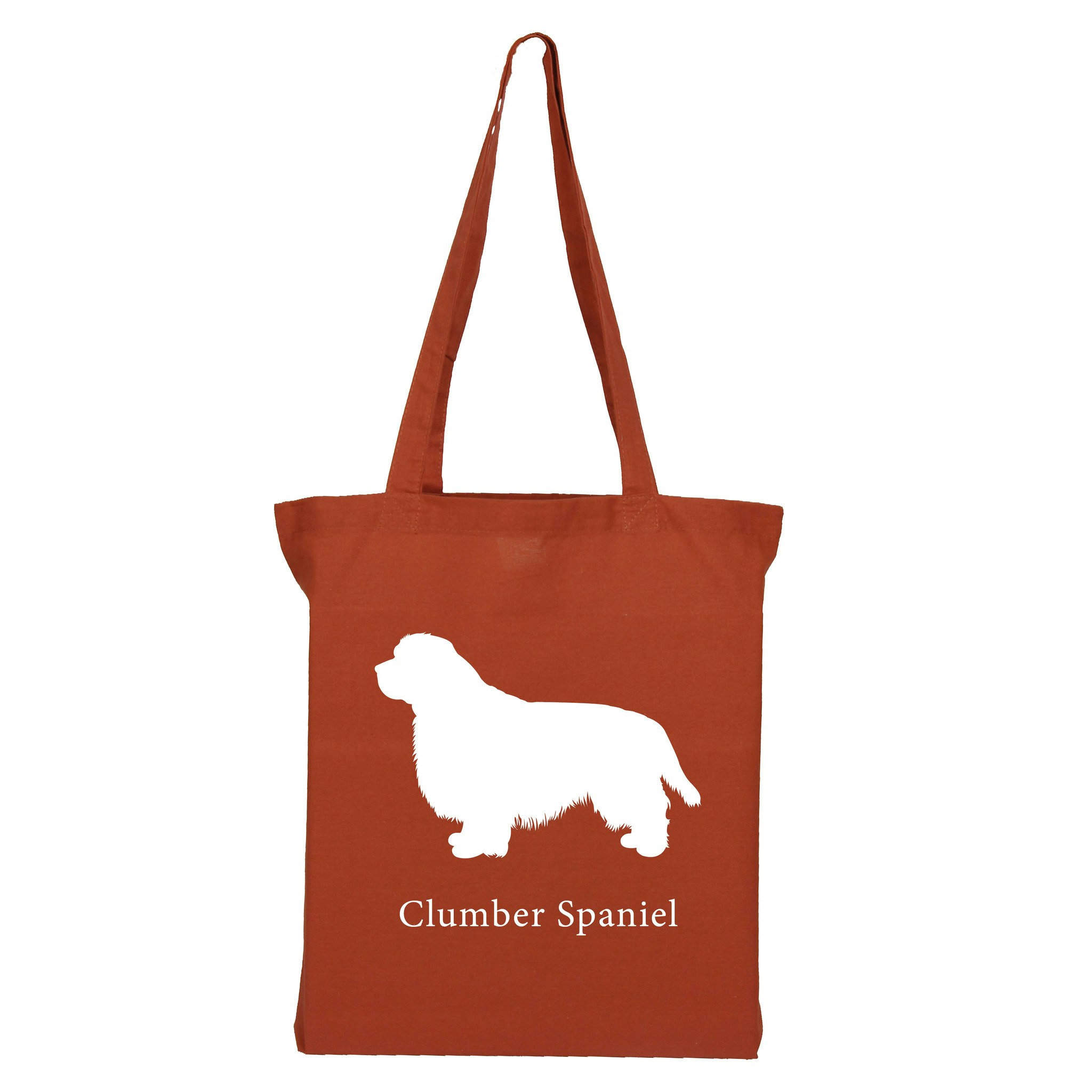 Clumber Spaniel