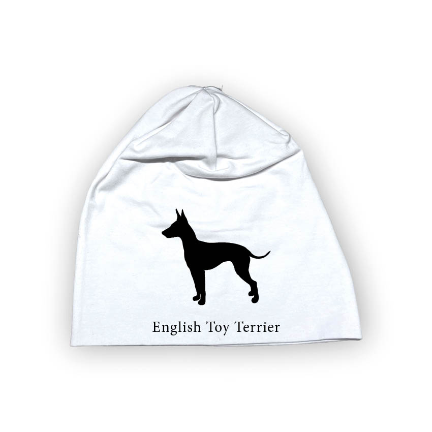 Bomullsmössa - Engelsk toy terrier