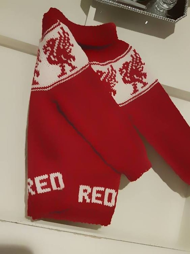 Mønster på Genseren : Born a red