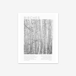 Poster "Birches"