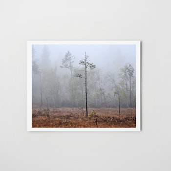 Myren High - Fine Art print