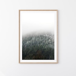 Snow Dump - Foto Print