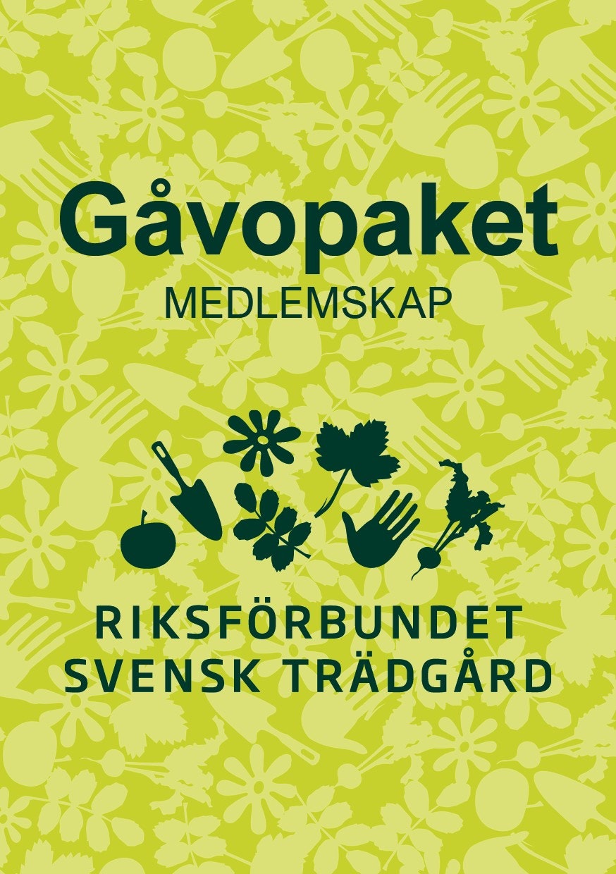 Gåvopaket 1/2-års medlemskap 2025