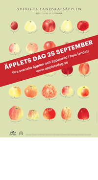 Äppelaffisch - reklam för aktivitet