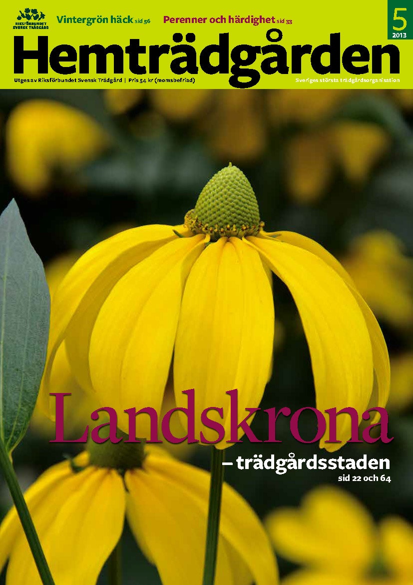 Hemträdgården 2013-05