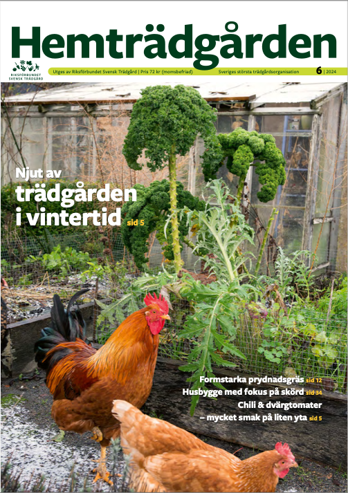 Hemträdgården 2024-06