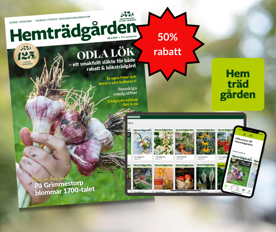 Gåvopaket 1/2-års medlemskap 2025