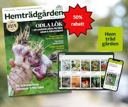 Gåvopaket 1/2-års medlemskap 2025