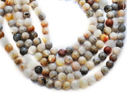 Bambu agat 10 mm, 1 sträng