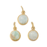 Guldfärgat kirurgiskt stål berlock amazonite med PVD plätering, 1 st