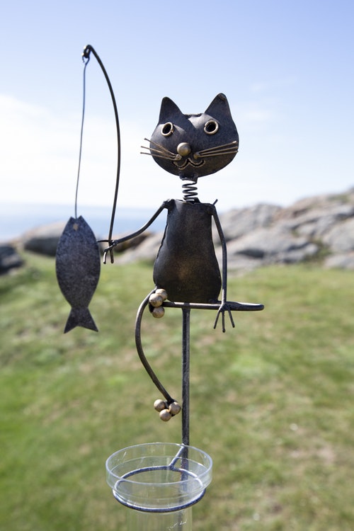 Regnmätare - fiskande katt inkl mätglas
