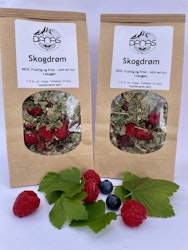 Skogdrøm