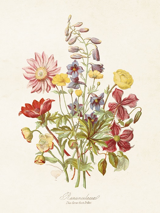 Poster "Blomsteräng"