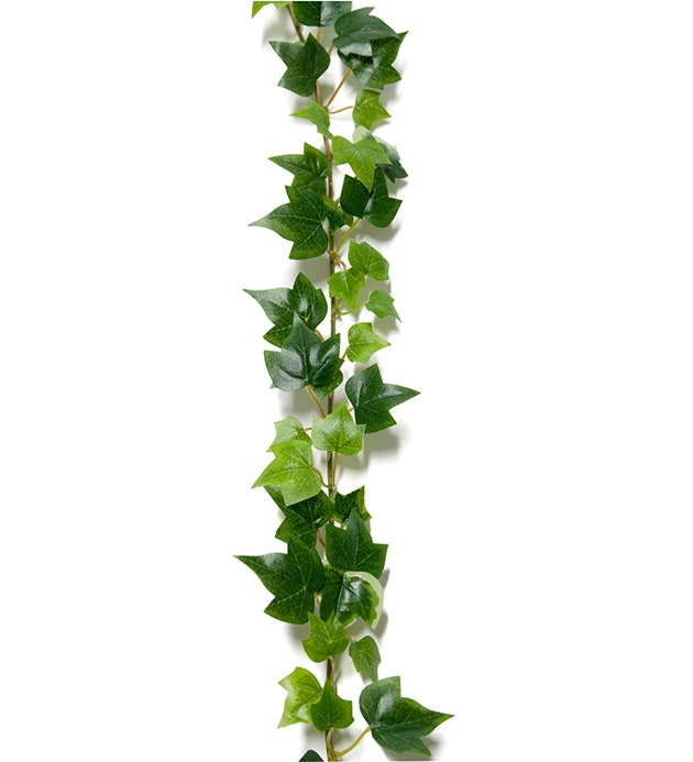 Murgröna girlang 180 cm