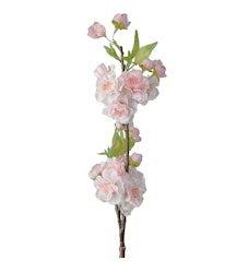 Körsbärsblom rosa 45 cm