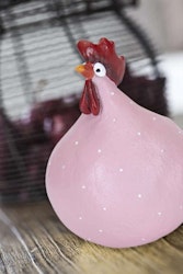 Höna rosa mellan