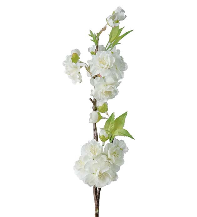 Körsbärsblom vit 45 cm