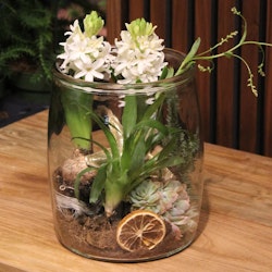 Goliat Glasvas