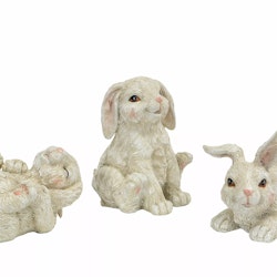 Kaniner i 3 olika modeller