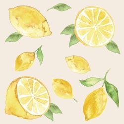 Servett Citroner