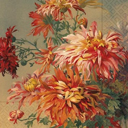 Servett Höstväxter Dahlia