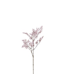 Limoniumkvist 65 cm
