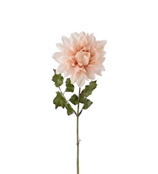 Dahlia rosa 45 cm