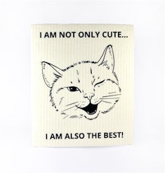 Disktrasa I'm not only cute