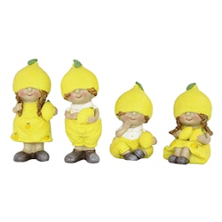Citronbarn, 4 varianter