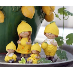 Citronbarn, 4 varianter
