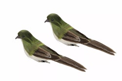 Fågel Freja med clip