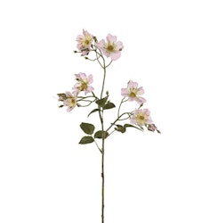 Japansk klätterros rosa 35 cm