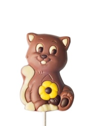 Chokladklubba Katt