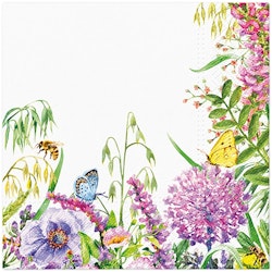 Servett Wildflowers