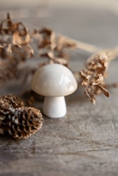 Bovik svamp beige