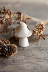 Bosten svamp beige
