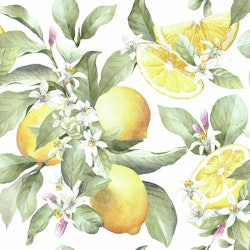 Servett Limoni