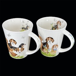 Mugg Hund