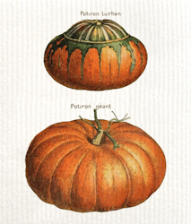 Disktrasa Pumpor