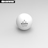 Sanwei - ABS 1 Star Training Ball - 100-pack