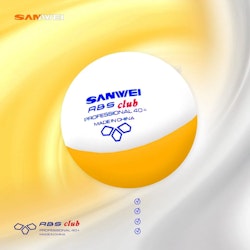 Sanwei - ABS Club Training Ball - 100-pack