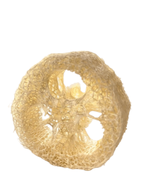 Loofa-svamp - Naturligt tvålfat