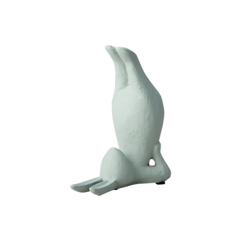 Yoga kanin på rygg