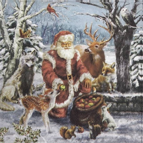 Julservett från PAW - "Tomtens julklappar"