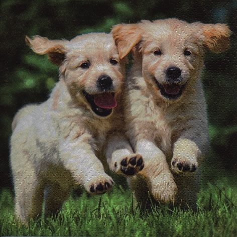 Servett från ti-flair - * Lyckliga valpar* - *Happy Puppies*