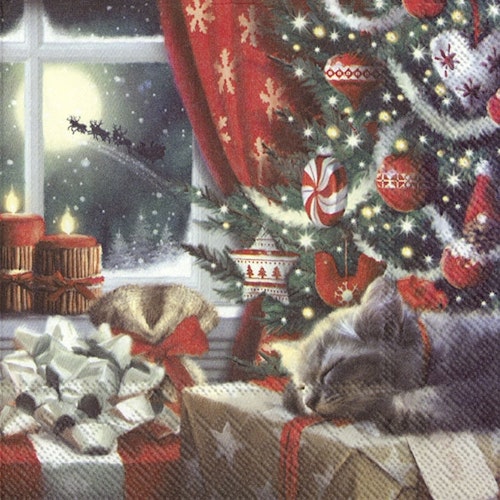 Julservett från IHR - *Katt som väntar på julen*