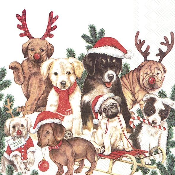 Julservett från IHR - "DOG-MAS"